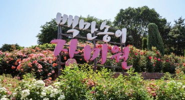 5월24일~6월 8일까지 백만송이장미원 개화시기 불법노점단속용역 진행완료