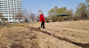 부천 상동문화동산 텃밭체험장 현장