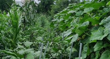 부천문화동산 텃밭 자연과 함께 나눔