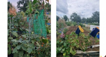 부천 문화동산 텃밭 자연과 함께 나눔