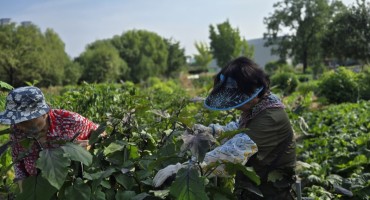 문화동산 텃밭 가꾸기 작업, 이웃과 소통